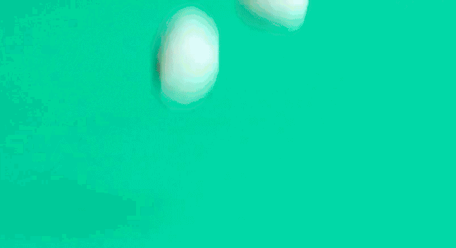 微信图片_20170706173942.gif