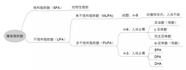 微信图片_20170928190042.jpg