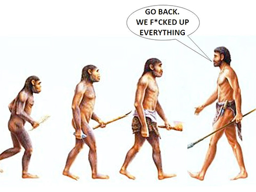 evolutionsteps.jpg