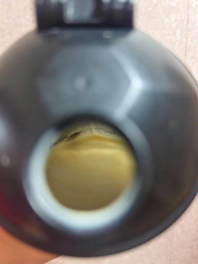 打卡图片